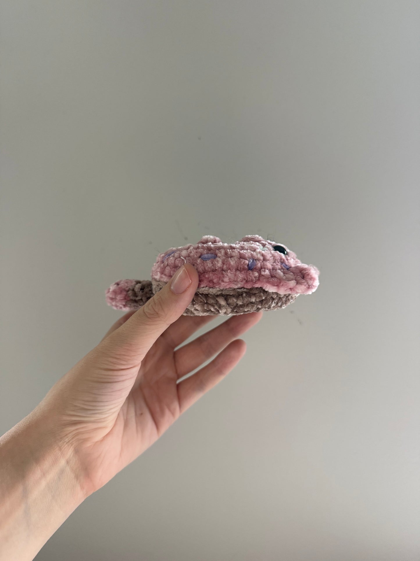 Donut Cat Pocket Pals