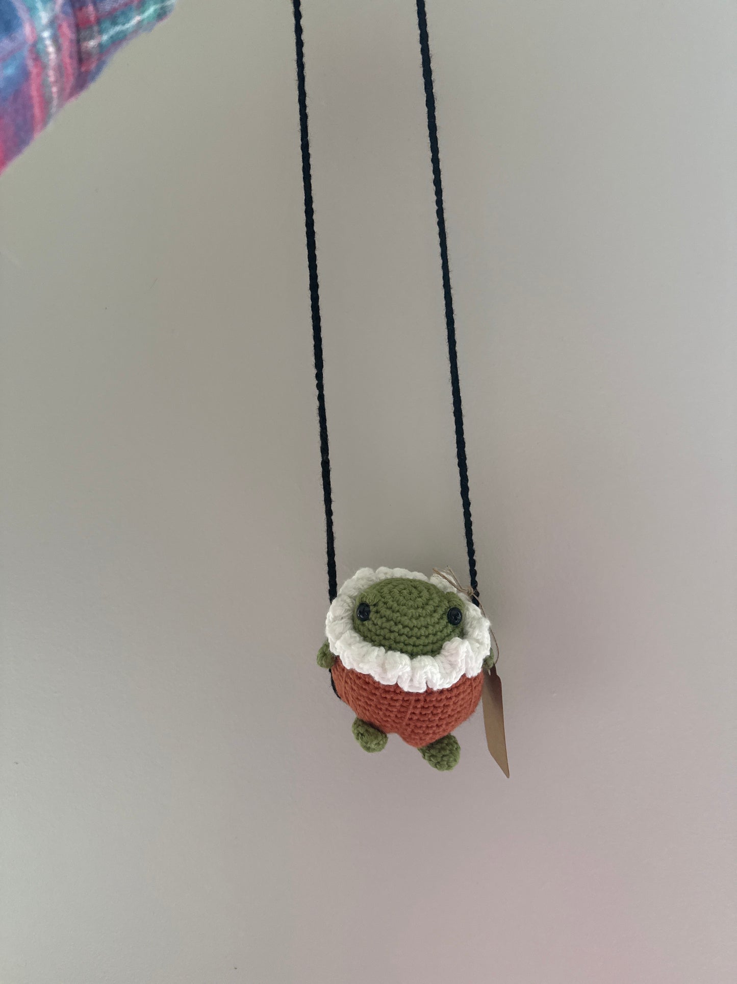 Pumpkin Frog Mirror Hanger