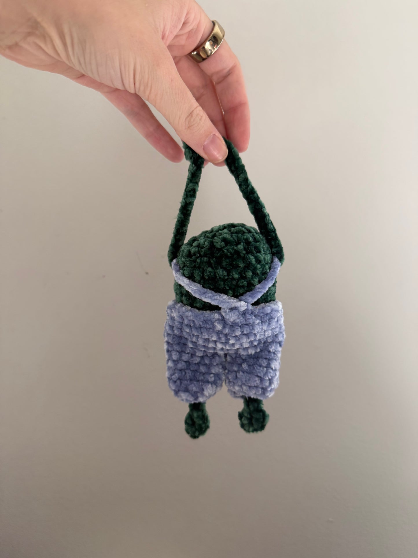 Francisco the Frog -- Velvet Bag Friend