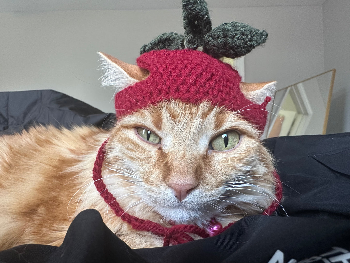 Veggie Cat Hats
