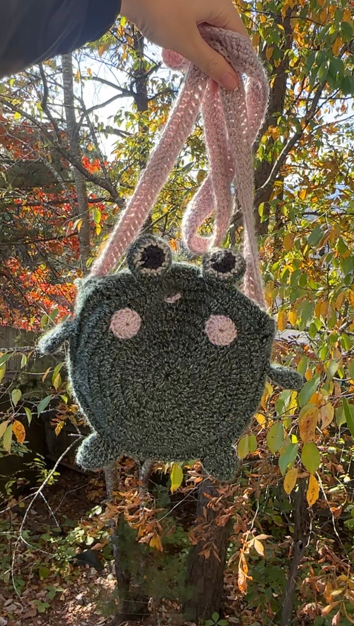 Frog Purse