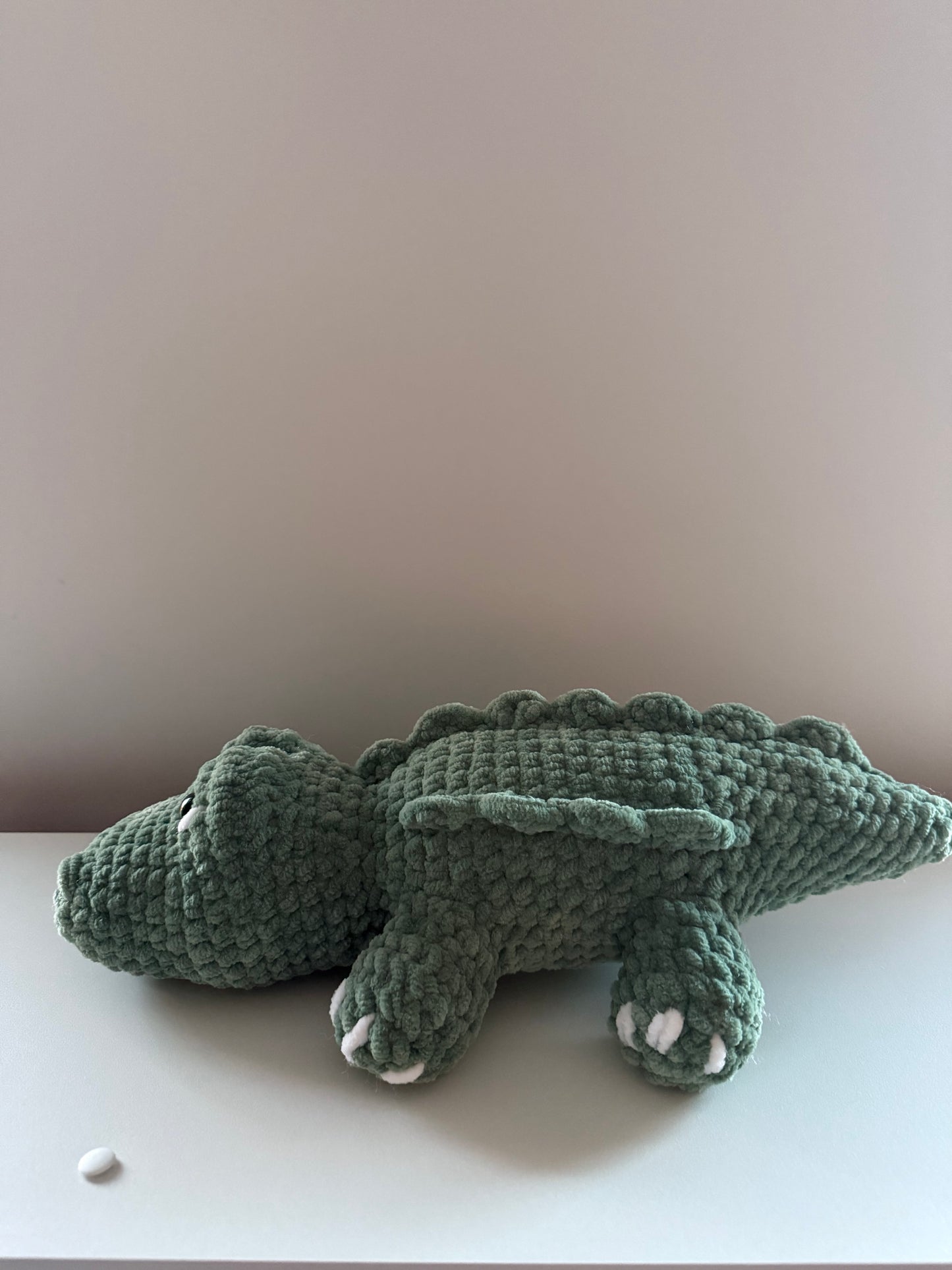 Alligator