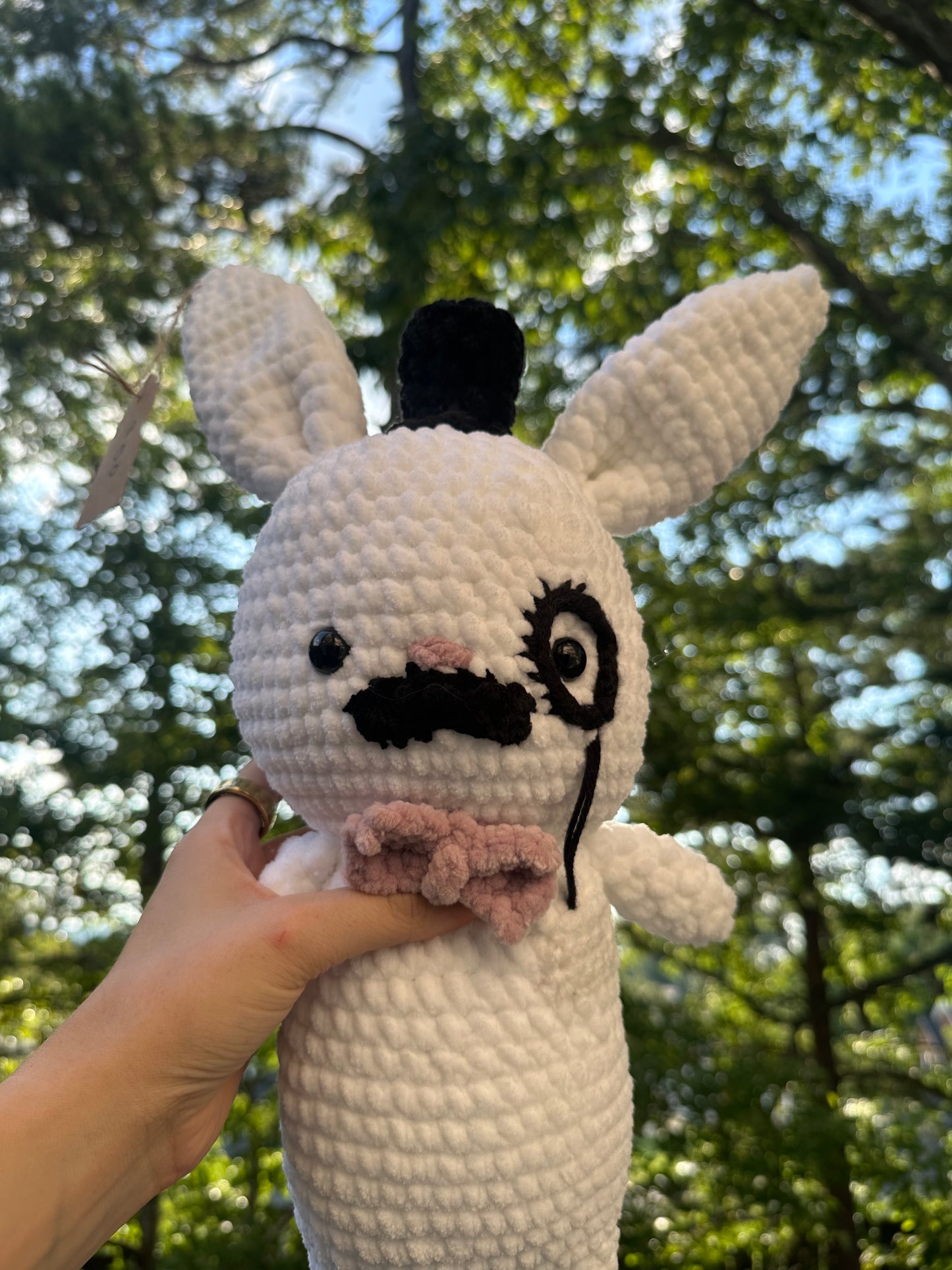 Gentleman Bunny Rabbit