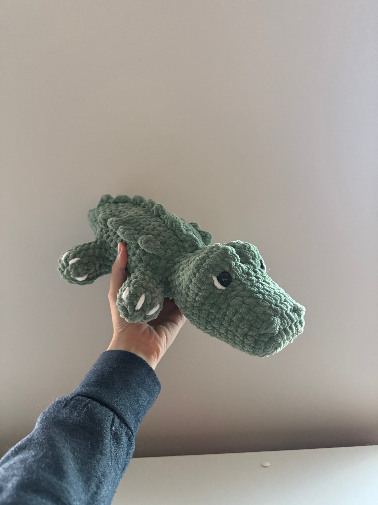 Alligator