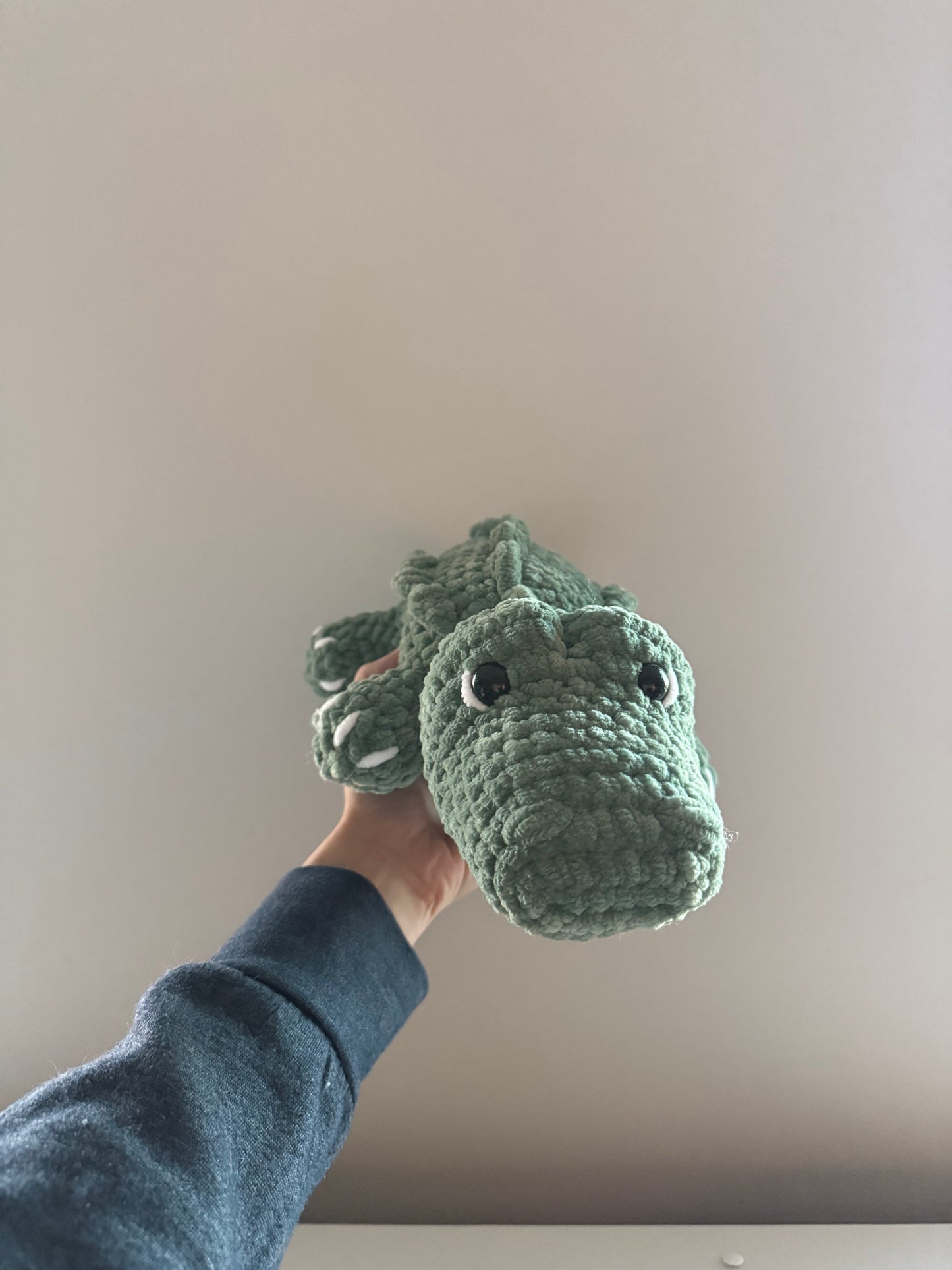 Alligator