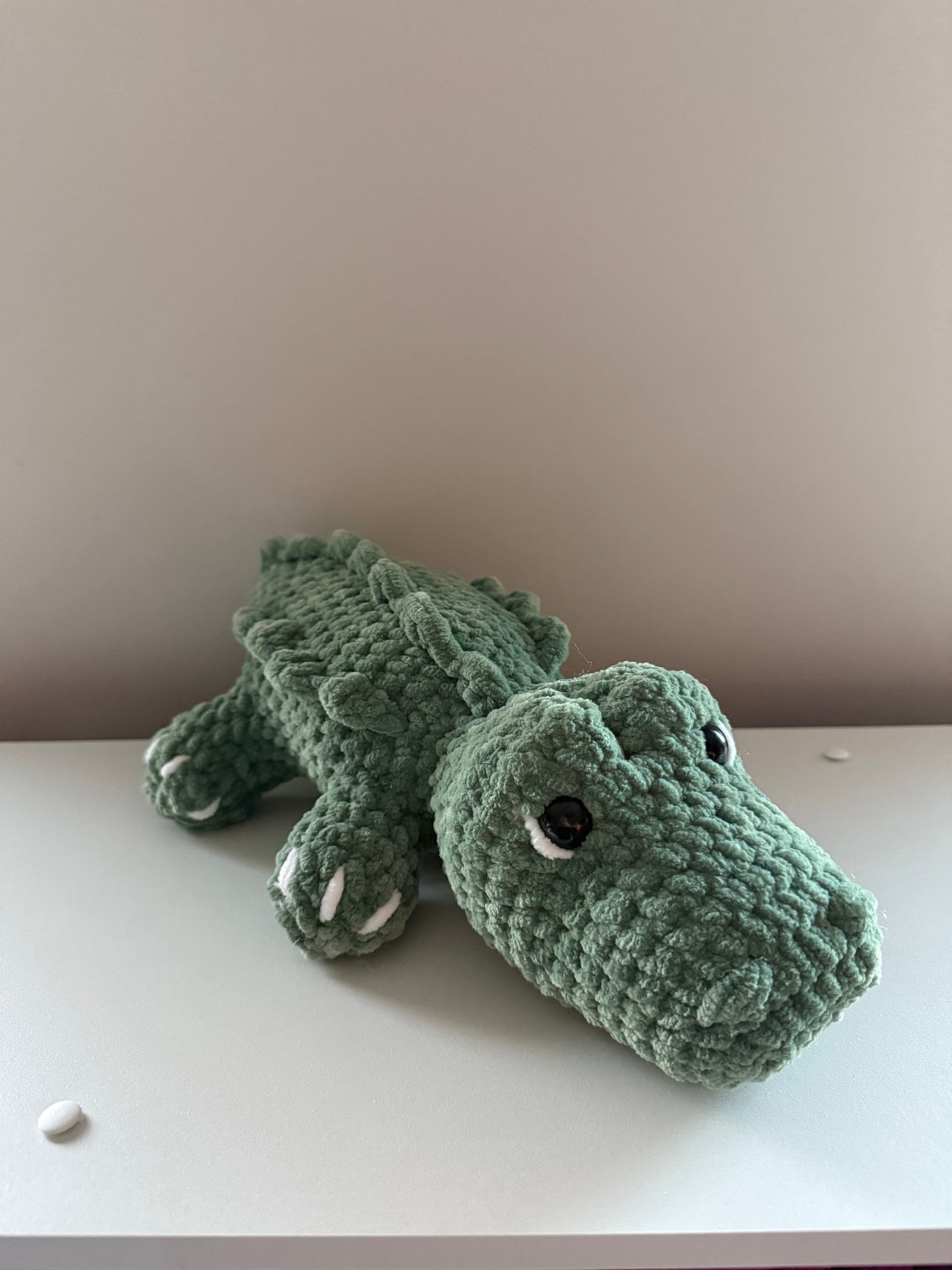 Alligator