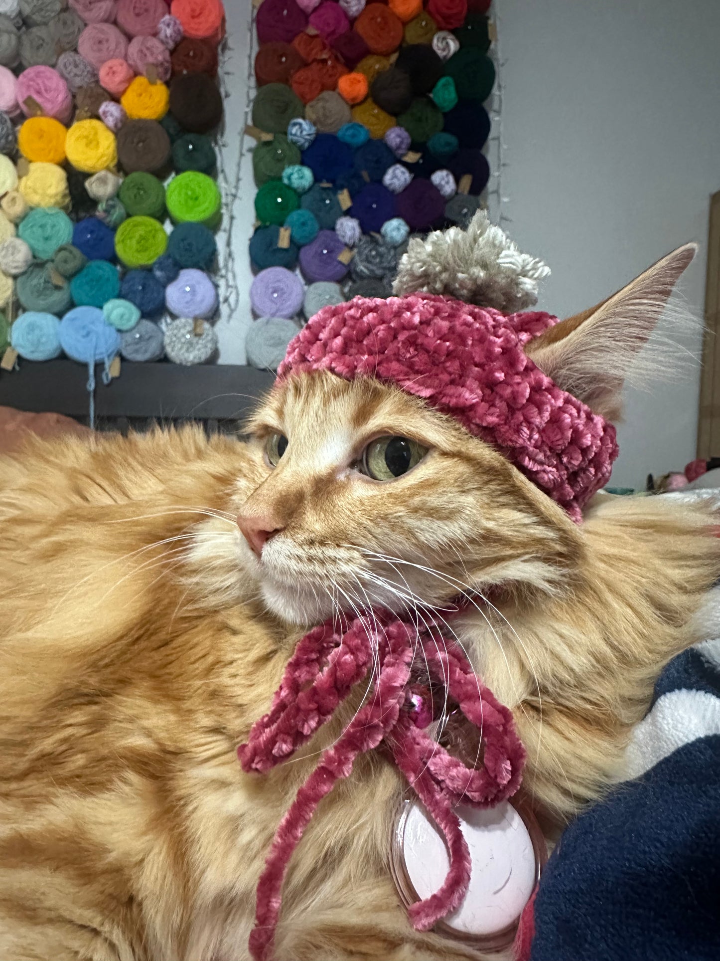 Mommy & Me Cat Hats