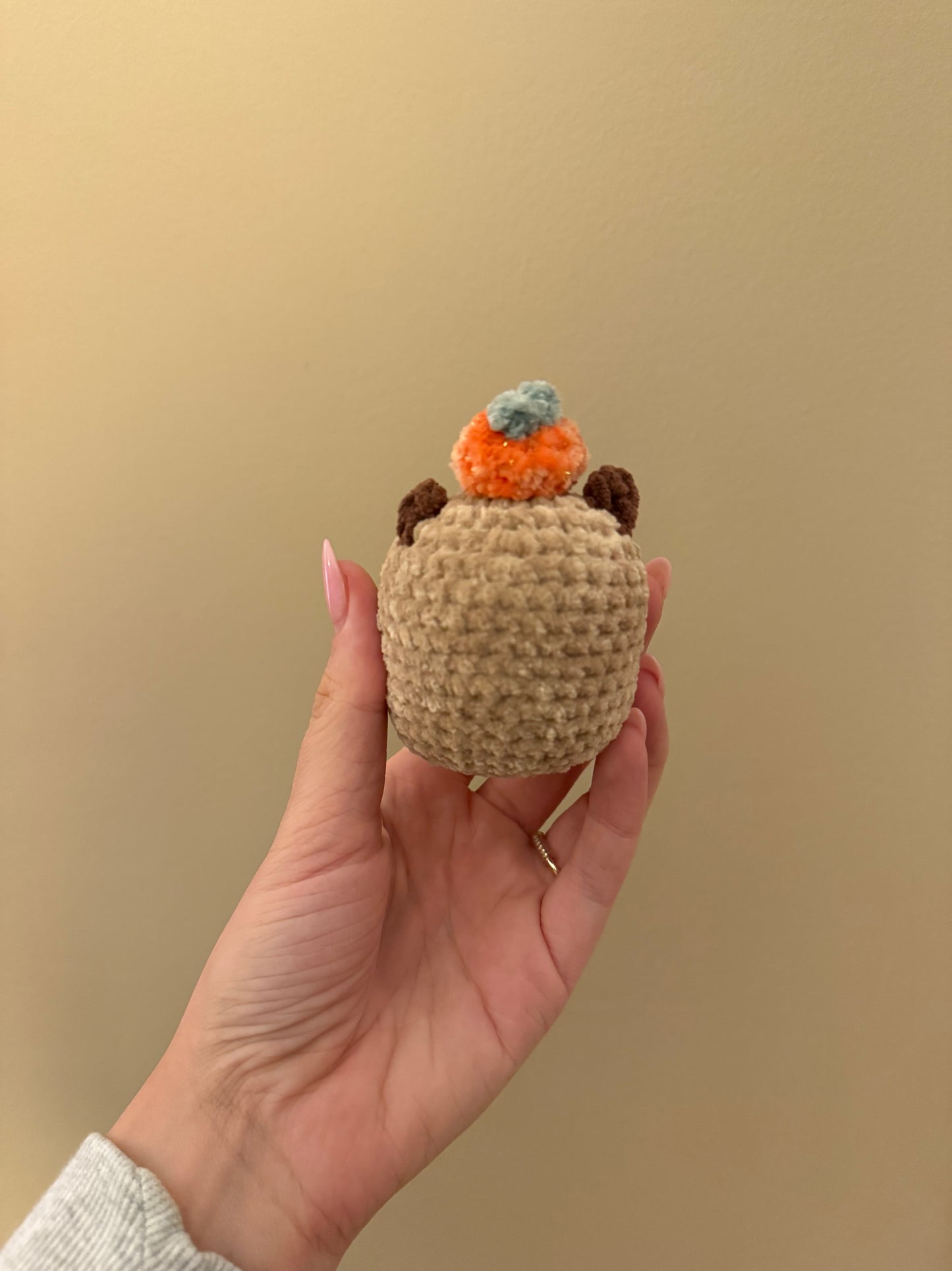 mini Cappy Bara