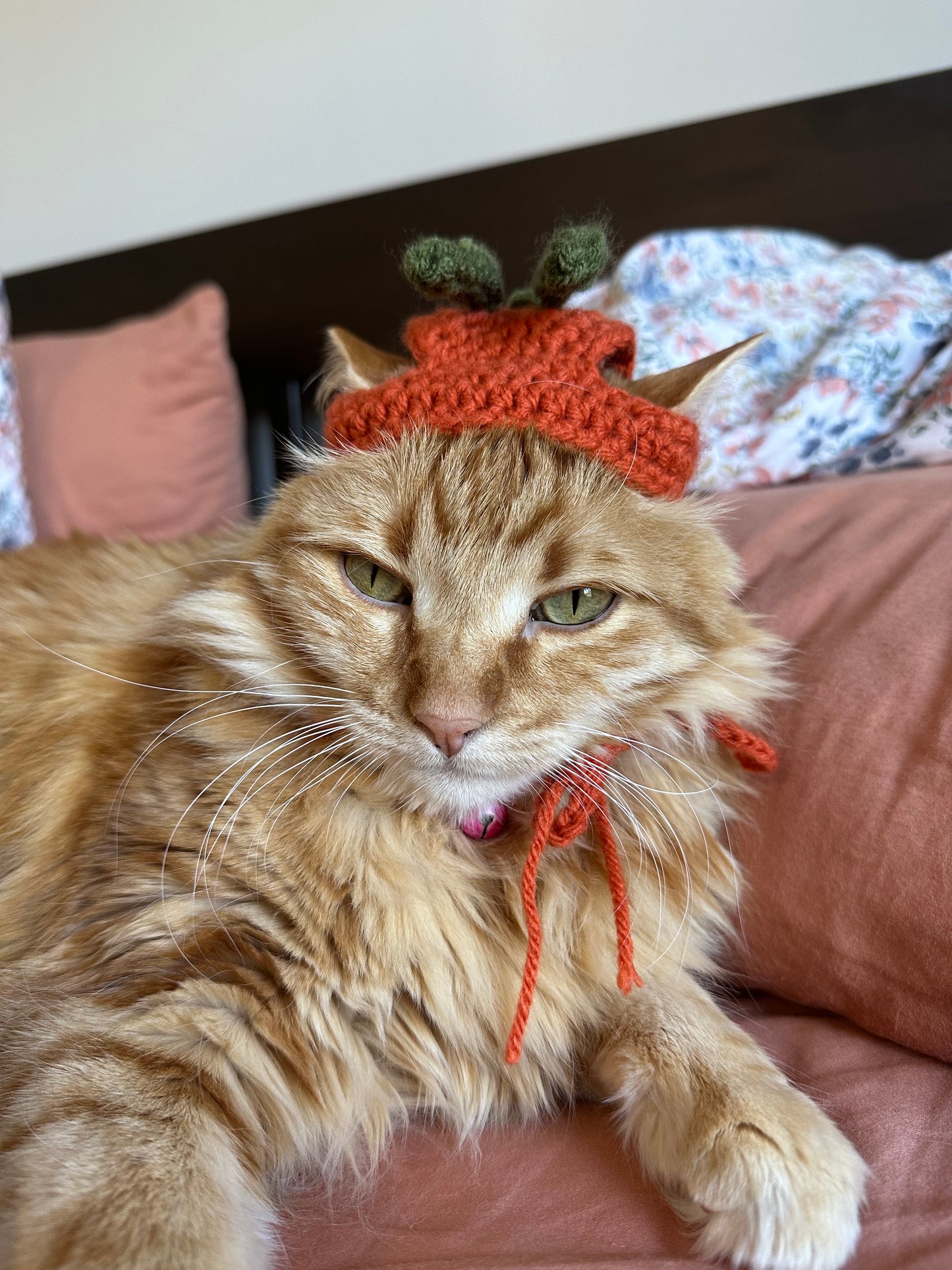 Veggie Cat Hats