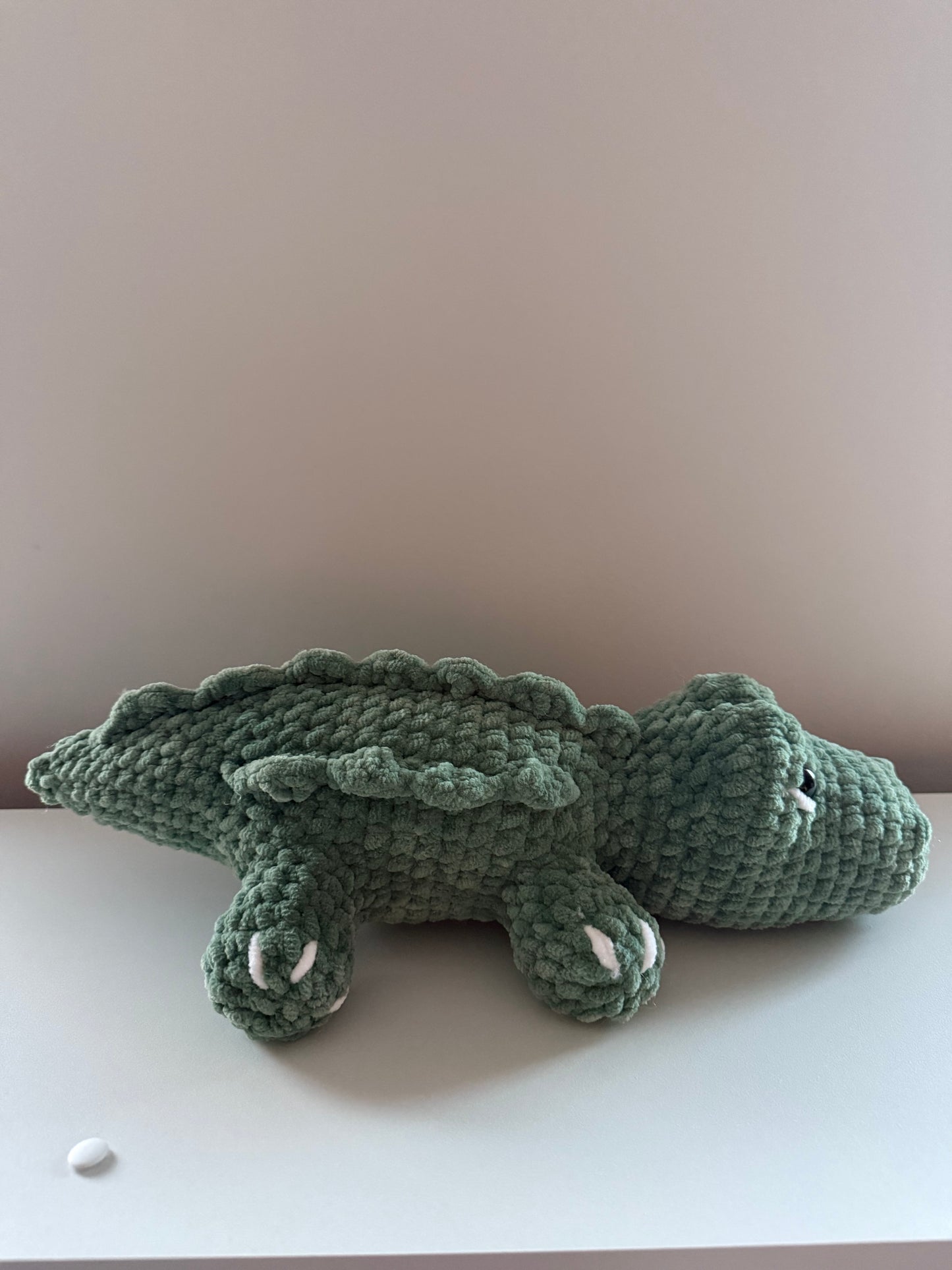 Alligator
