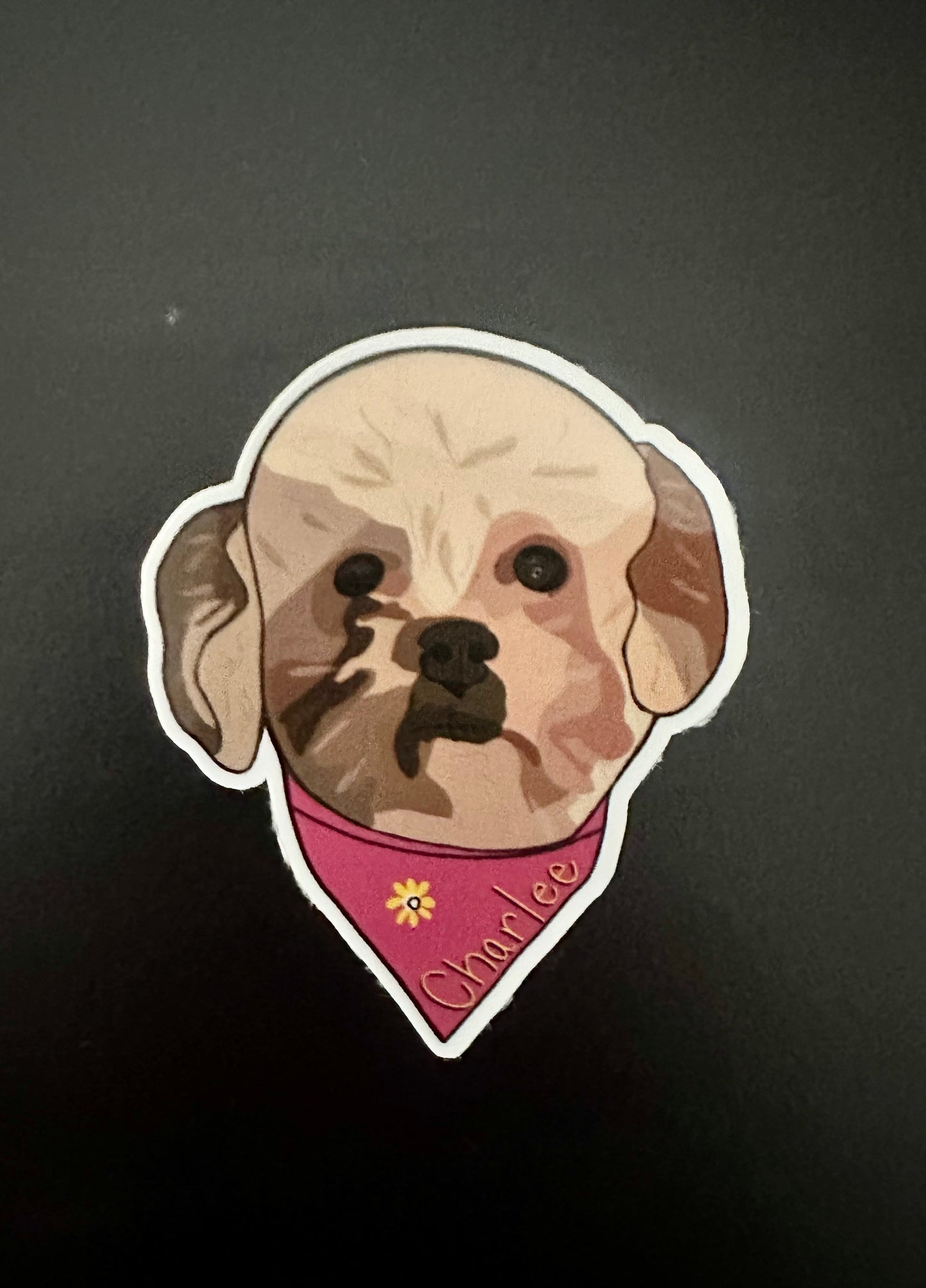 Custom Pet Stickers