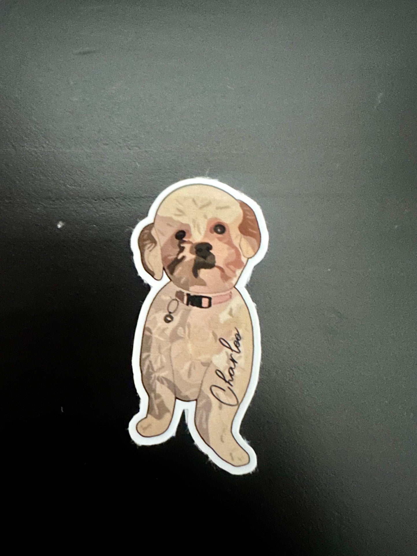 Custom Pet Stickers