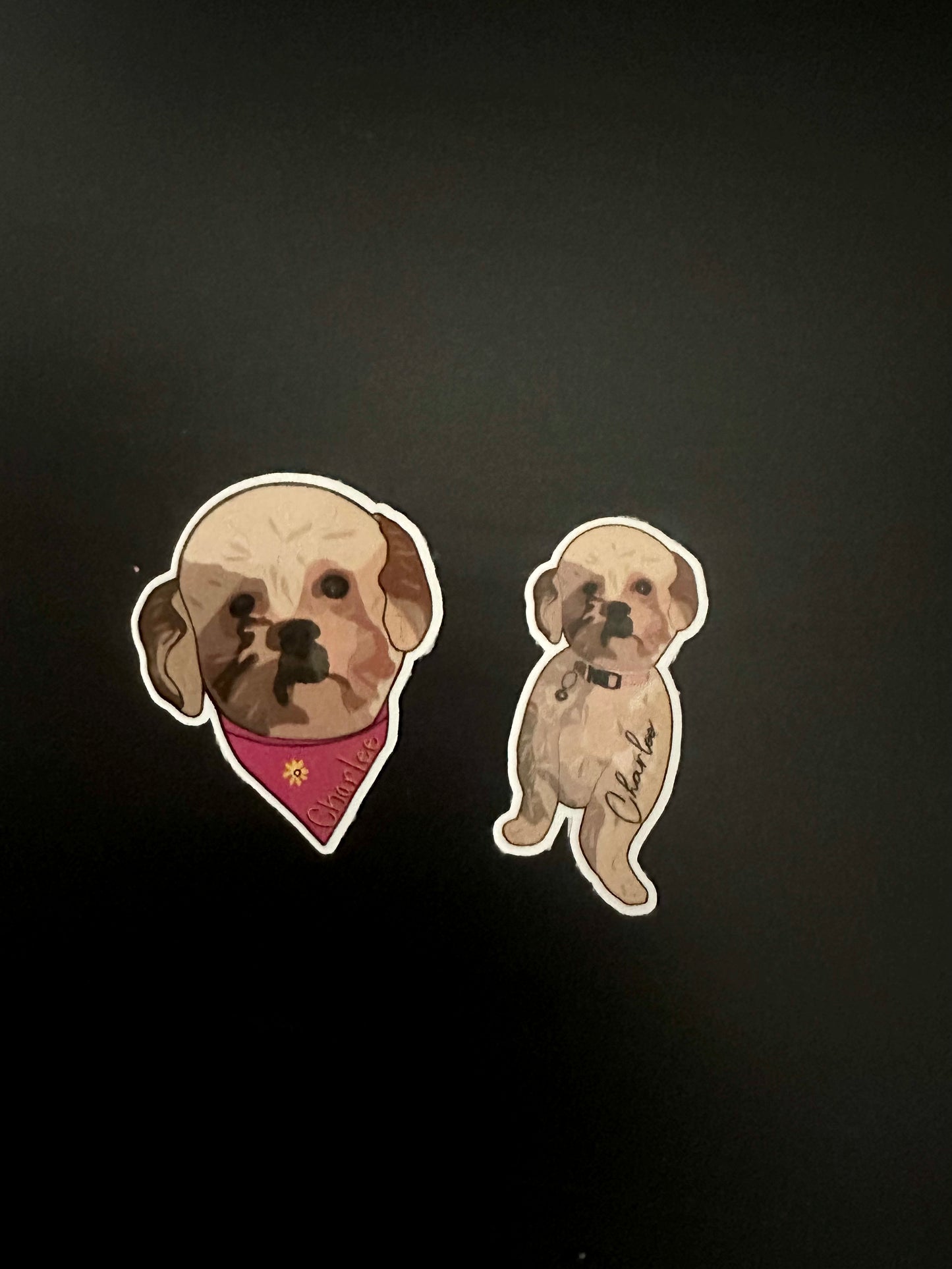 Custom Pet Stickers