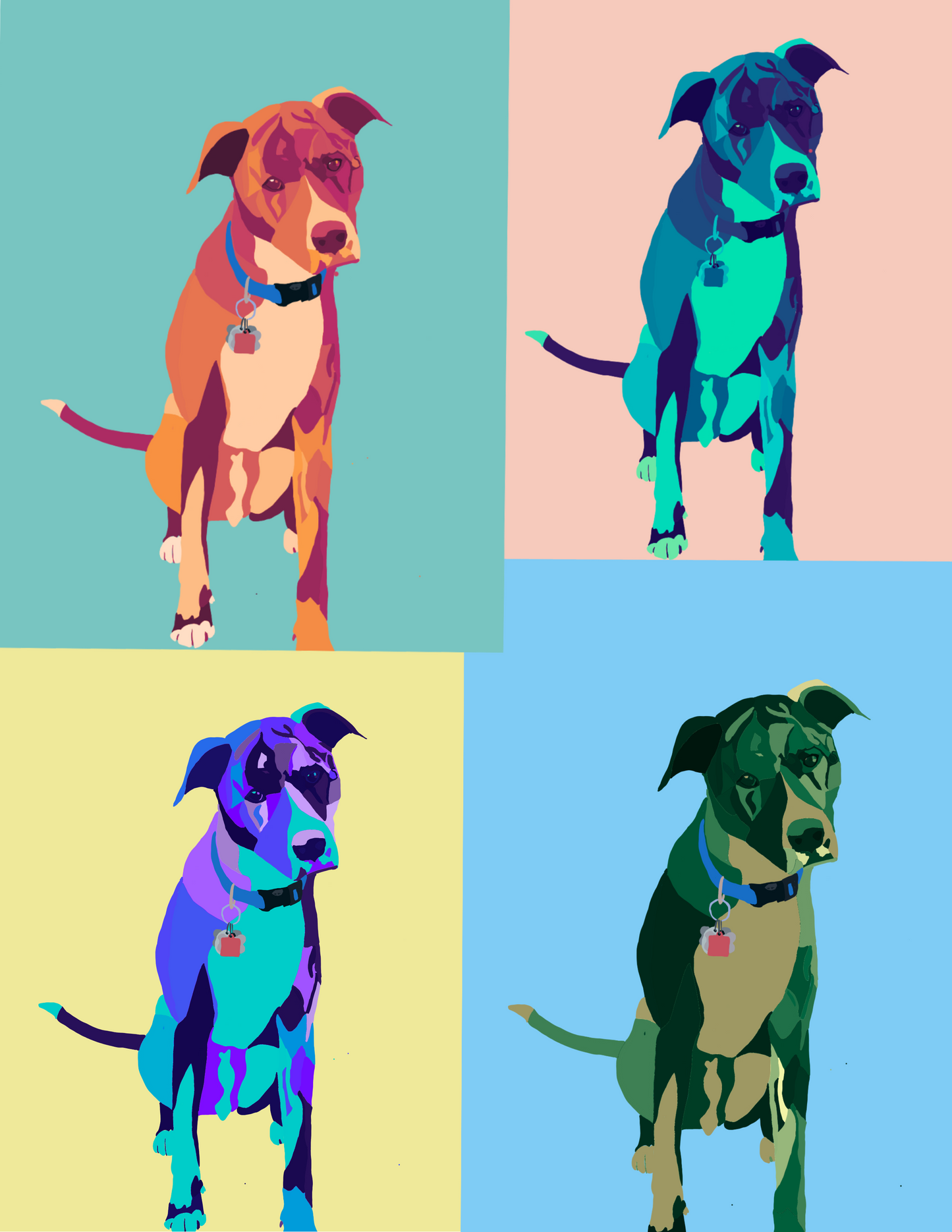 Custom Pet Stickers