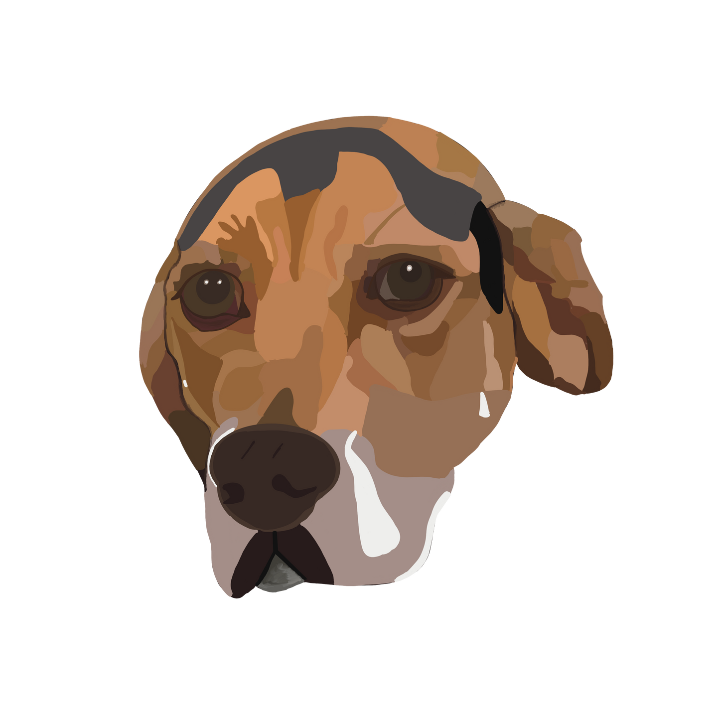 Custom Pet Stickers