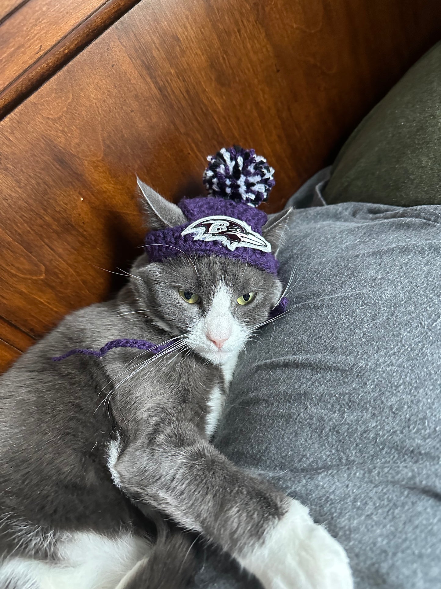 Cat Football Hats