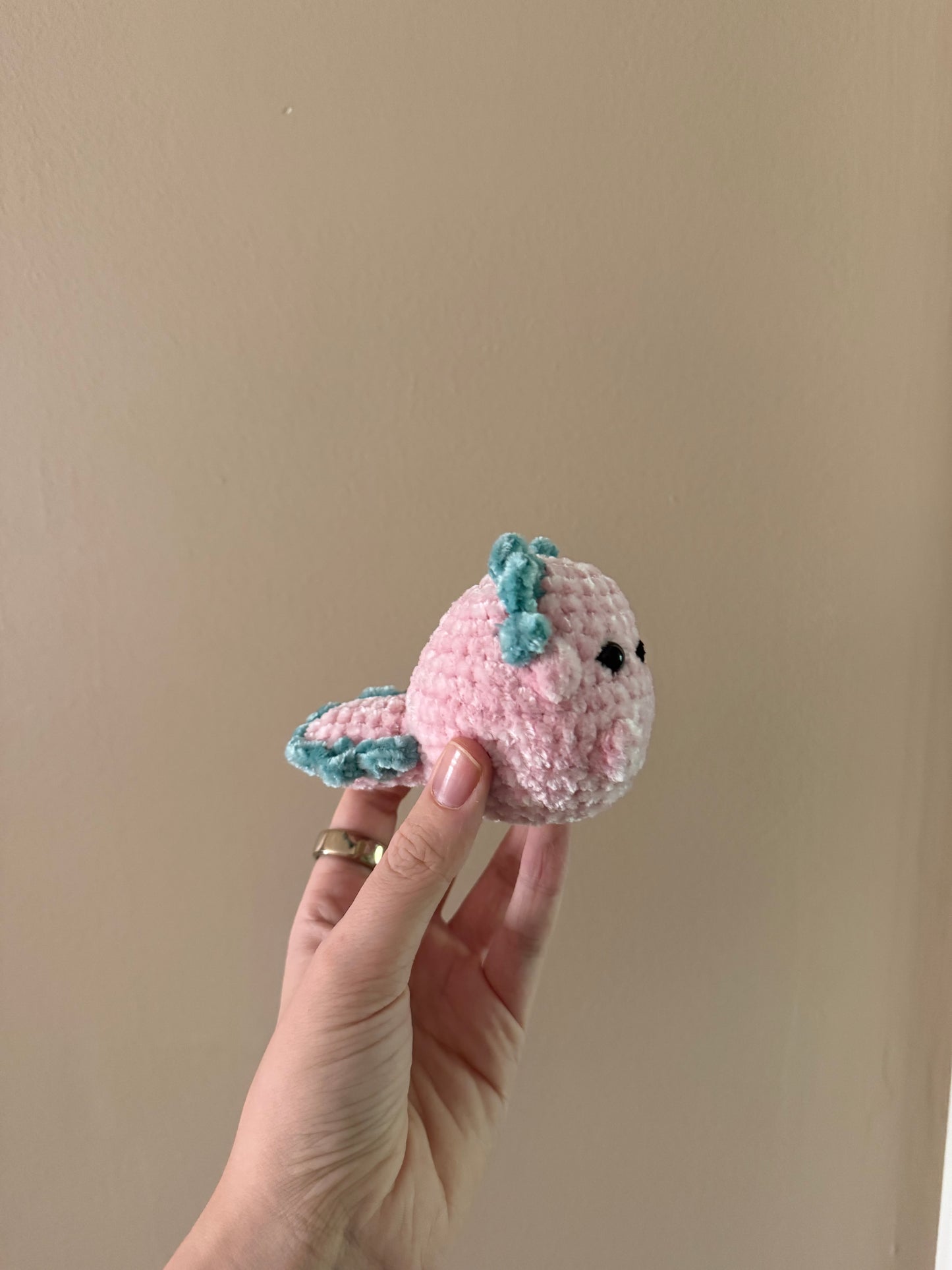 Pocket Pals