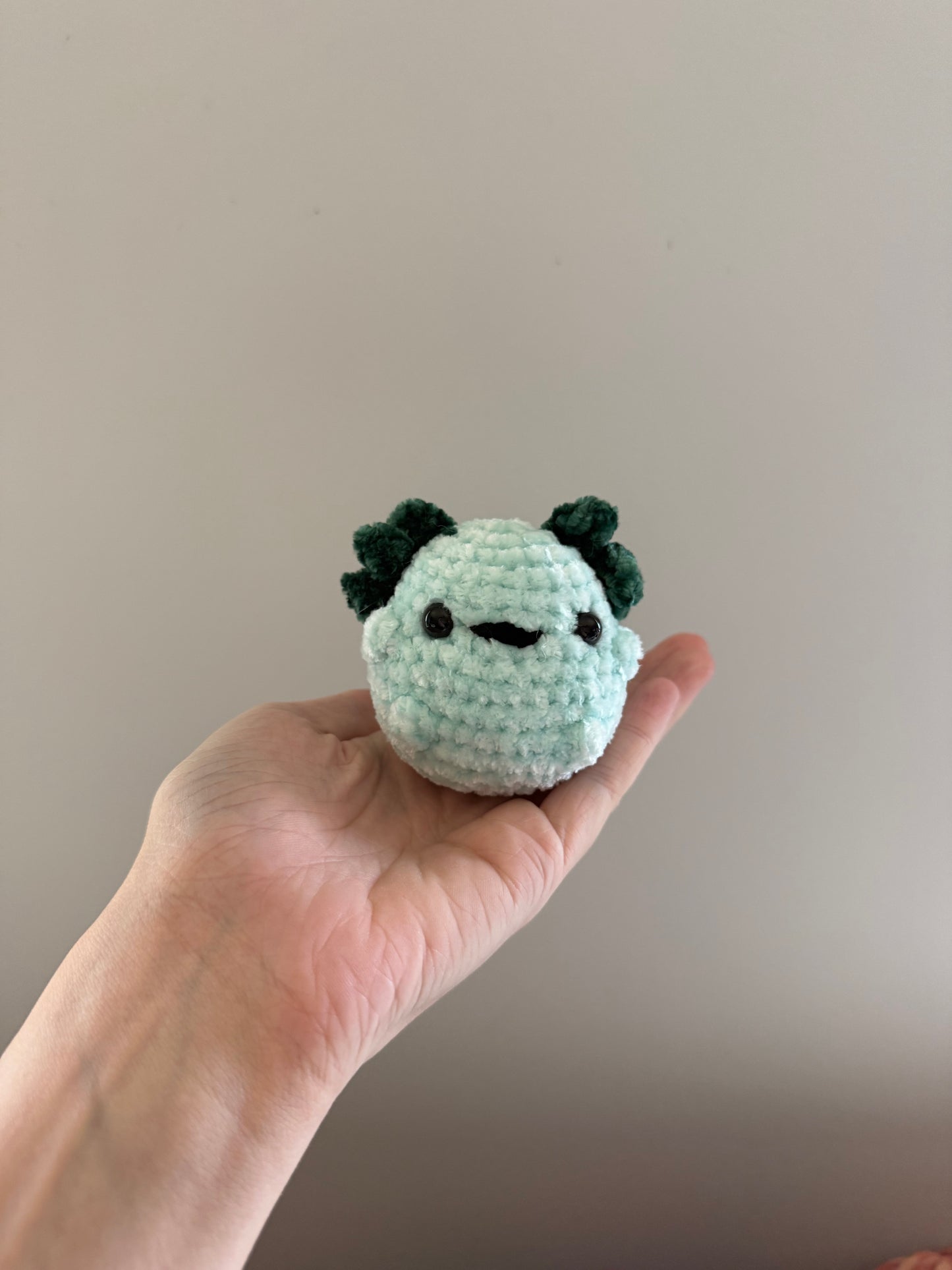 Pocket Pals