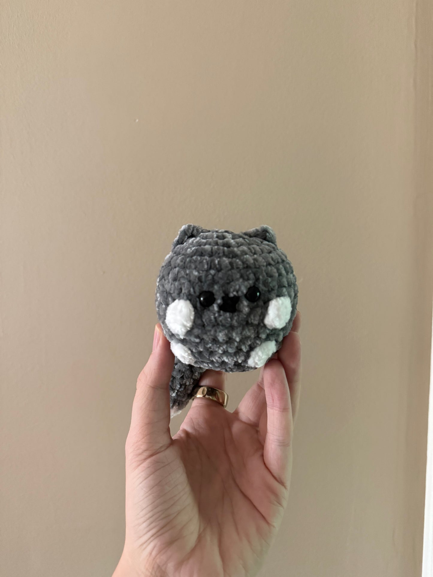 Pocket Pals