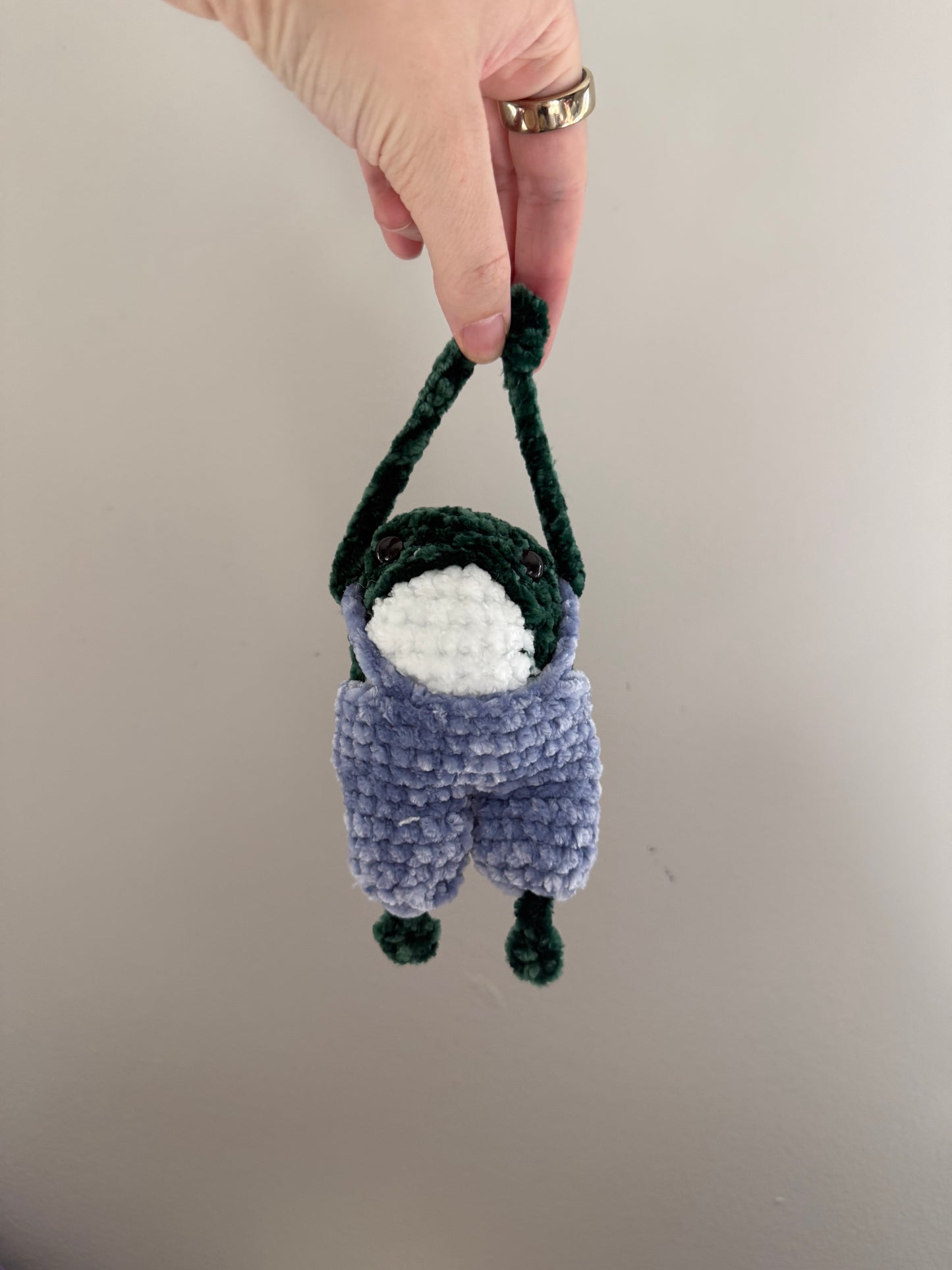 Francisco the Frog -- Velvet Bag Friend